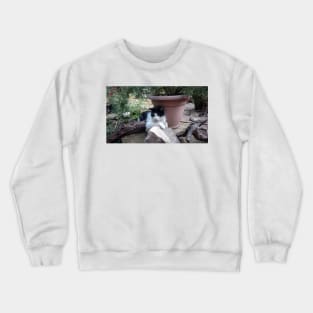 Cat Kitti in the garden Crewneck Sweatshirt